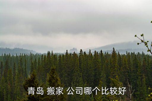  青岛 搬家 公司哪个比较好
