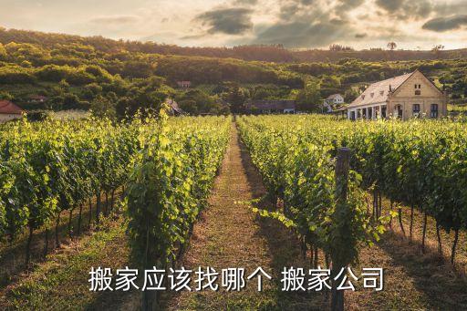  搬家应该找哪个 搬家公司