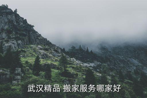  武汉精品 搬家服务哪家好