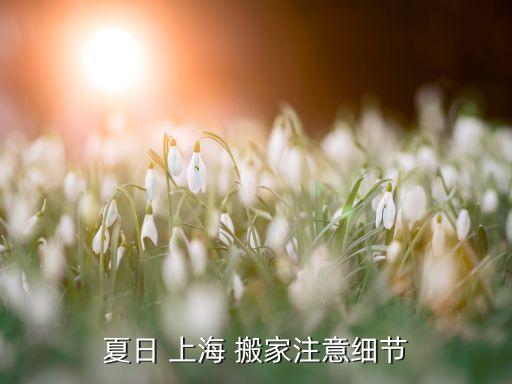 夏日 上海 搬家注意细节