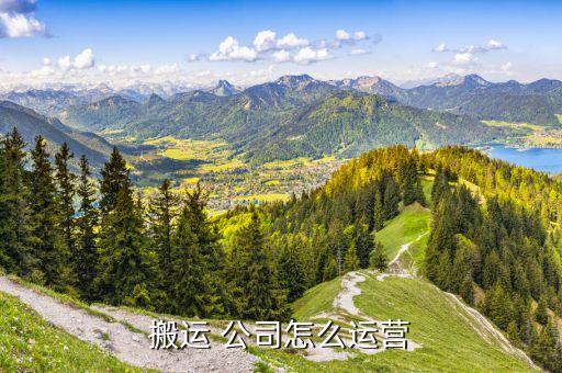 搬家公司干活咋样啊视频,宝鸡搬家公司咋样收费