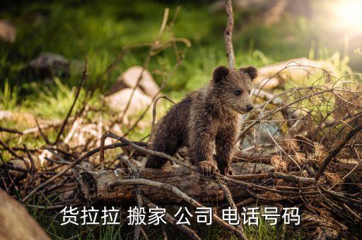 货拉拉 搬家 公司 电话号码
