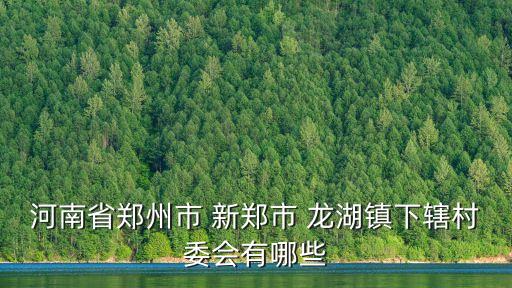 河南省郑州市 新郑市 龙湖镇下辖村委会有哪些