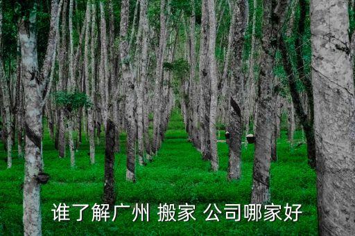 谁了解广州 搬家 公司哪家好
