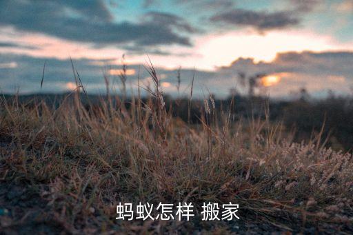  蚂蚁怎样 搬家