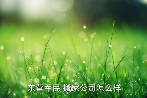  东营军民 搬家公司怎么样