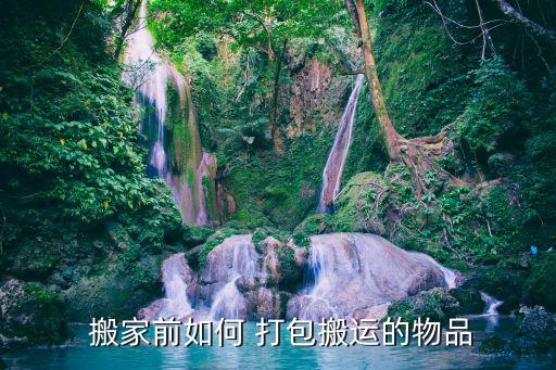  搬家前如何 打包搬运的物品