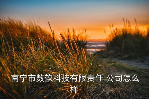  南宁市数软科技有限责任 公司怎么样