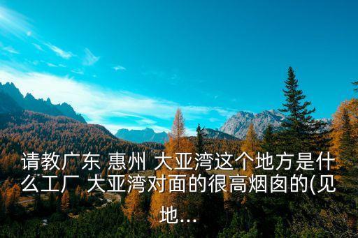 惠州大亚湾搬家公司在哪里