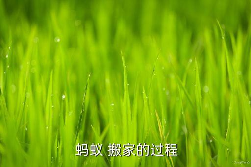 蚂蚁搬家小魔术,为什么小蚂蚁搬家
