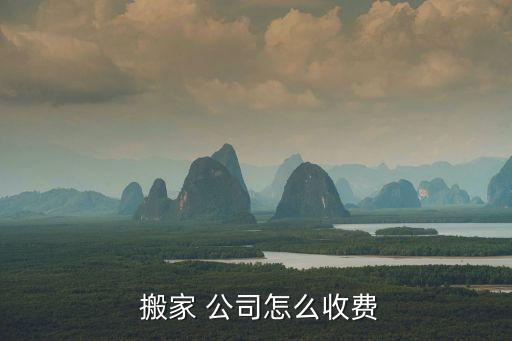 搬家 公司怎么收费
