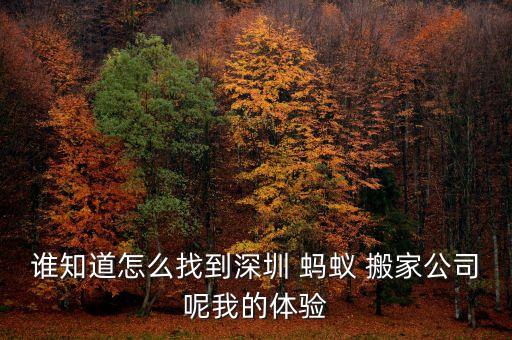 谁知道怎么找到深圳 蚂蚁 搬家公司呢我的体验