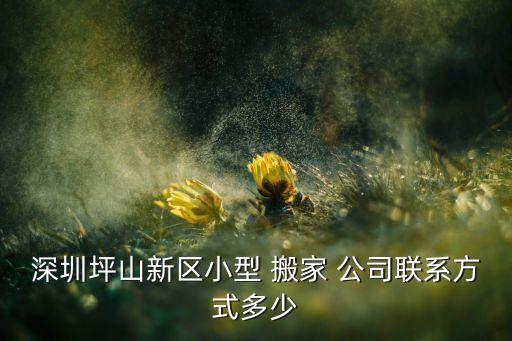深圳坪山新区小型 搬家 公司联系方式多少