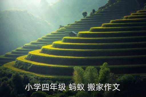 小学四年级 蚂蚁 搬家作文