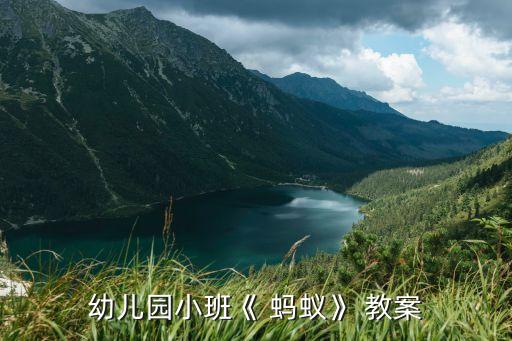 幼儿园小班《 蚂蚁》 教案