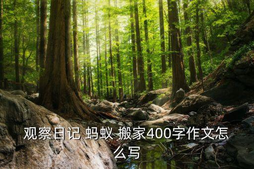 观察日记 蚂蚁 搬家400字作文怎么写