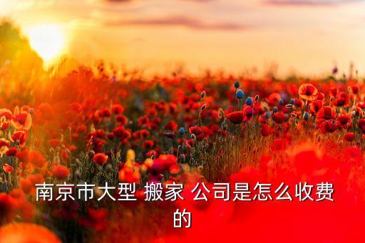  南京市大型 搬家 公司是怎么收费的