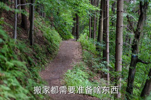  搬家都需要准备啥东西