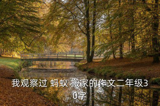 我观察过 蚂蚁 搬家的作文二年级30字
