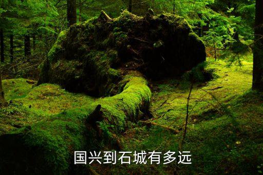  国兴到石城有多远