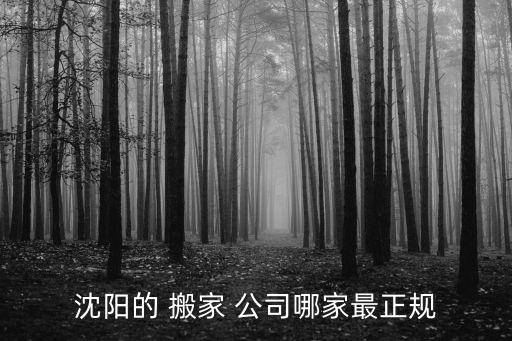 沈阳的 搬家 公司哪家最正规