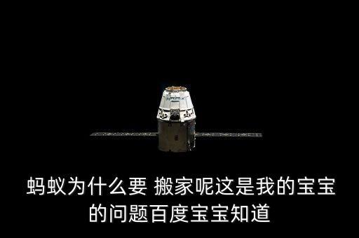  蚂蚁为什么要 搬家呢这是我的宝宝的问题百度宝宝知道