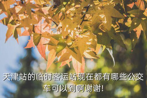 天津站的临时客运站现在都有哪些公交车可以到啊谢谢!