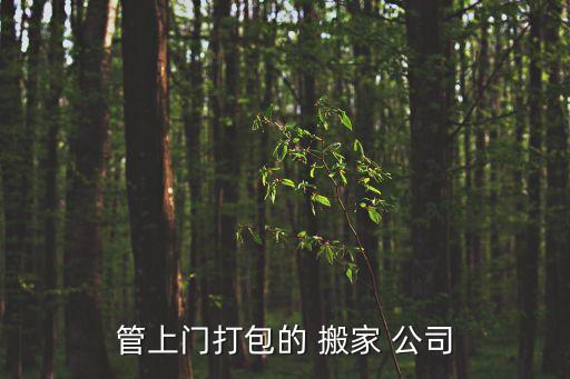 管上门打包的 搬家 公司