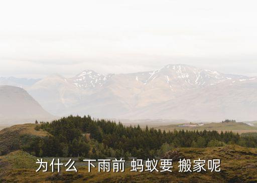 为什么 下雨前 蚂蚁要 搬家呢