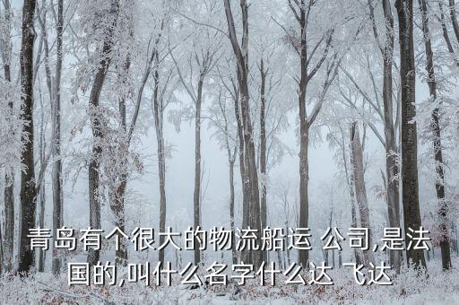 青岛有个很大的物流船运 公司,是法国的,叫什么名字什么达 飞达