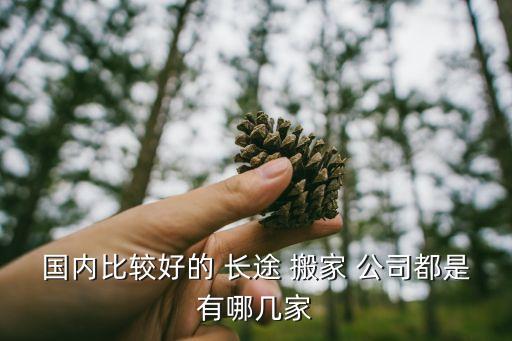 国内比较好的 长途 搬家 公司都是有哪几家