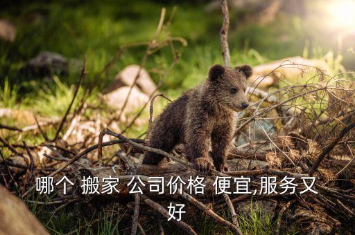 哪个 搬家 公司价格 便宜,服务又好