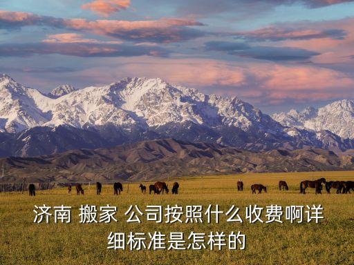  济南 搬家 公司按照什么收费啊详细标准是怎样的