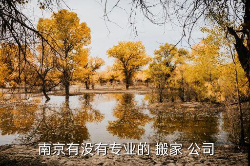  南京有没有专业的 搬家 公司