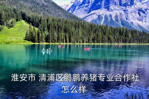  淮安市 清浦区鹏鹏养猪专业合作社怎么样