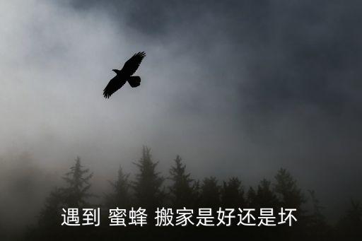 遇到 蜜蜂 搬家是好还是坏