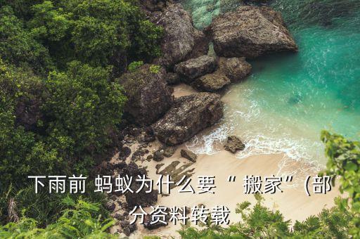 下雨前 蚂蚁为什么要“ 搬家”(部分资料转载