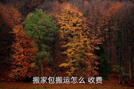  搬家包搬运怎么 收费