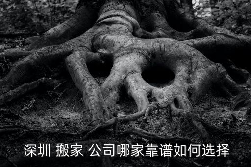 深圳搬家公司哪家好怎么找,深圳哪家搬家公司最好最便宜