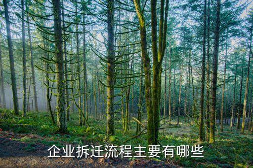 企业拆迁流程主要有哪些