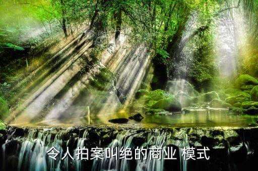 令人拍案叫绝的商业 模式