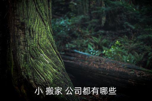 小 搬家 公司都有哪些