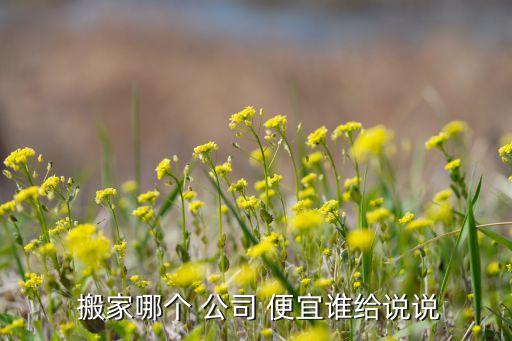  搬家哪个 公司 便宜谁给说说