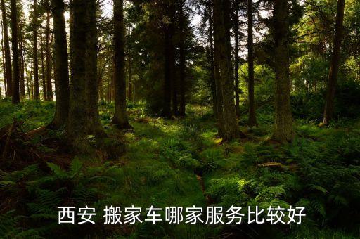  西安 搬家车哪家服务比较好