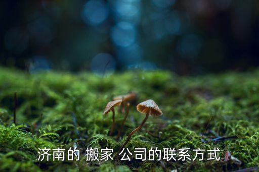 济南的 搬家 公司的联系方式