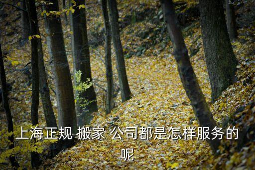 上海正规 搬家 公司都是怎样服务的呢