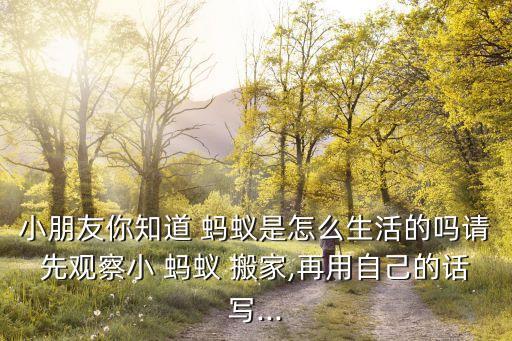 小朋友你知道 蚂蚁是怎么生活的吗请先观察小 蚂蚁 搬家,再用自己的话写...