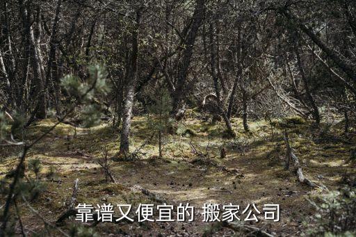 靠谱又便宜的 搬家公司