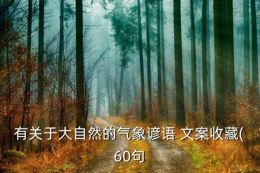 有关于大自然的气象谚语 文案收藏(60句