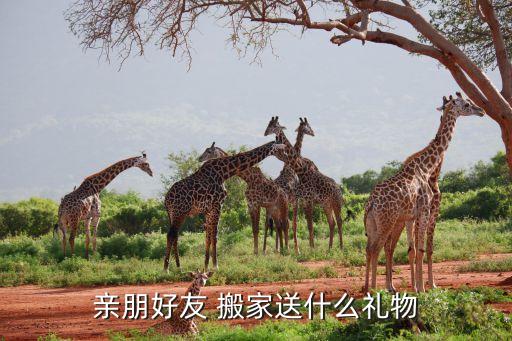 亲朋好友 搬家送什么礼物